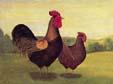 unknow artist Cock and Hen France oil painting art